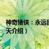 神奇猪侠：永远困在同一天（关于神奇猪侠：永远困在同一天介绍）
