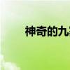 神奇的九寨（关于神奇的九寨介绍）