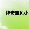 神奇宝贝小雨（关于神奇宝贝小雨介绍）
