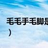 毛毛手毛脚是什么生肖（毛手毛脚是什么生肖）
