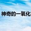 神奇的一氧化氮（关于神奇的一氧化氮介绍）