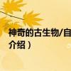 神奇的古生物/自然图书馆（关于神奇的古生物/自然图书馆介绍）