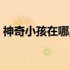 神奇小孩在哪里（关于神奇小孩在哪里介绍）