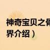 神奇宝贝之骨动世界（关于神奇宝贝之骨动世界介绍）