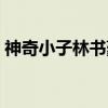神奇小子林书豪（关于神奇小子林书豪介绍）