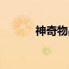 神奇物品（关于神奇物品介绍）