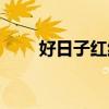 好日子红红火火是什么歌（好日志）