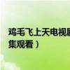 鸡毛飞上天电视剧全集观看免费下载（鸡毛飞上天电视剧全集观看）