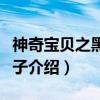 神奇宝贝之黑暗之子（关于神奇宝贝之黑暗之子介绍）