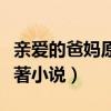 亲爱的爸妈原著小说在线阅读（亲爱的爸妈原著小说）