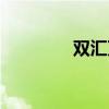 双汇万隆简介（双汇万隆）
