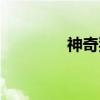 神奇狗（关于神奇狗介绍）