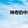 神奇的中国（关于神奇的中国介绍）