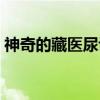 神奇的藏医尿诊（关于神奇的藏医尿诊介绍）