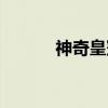 神奇皇冠（关于神奇皇冠介绍）