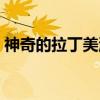 神奇的拉丁美洲（关于神奇的拉丁美洲介绍）