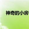 神奇的小房子（关于神奇的小房子介绍）