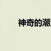 神奇的潮汐（关于神奇的潮汐介绍）