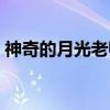 神奇的月光老师(关于神奇的月光老师介绍) 神奇的月光老师(关于神奇的月光老师介绍)