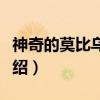 神奇的莫比乌斯带（关于神奇的莫比乌斯带介绍）