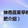 神奇蔬果早晚餐减肥（关于神奇蔬果早晚餐减肥介绍）