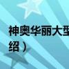 神奥华丽大型庆典（关于神奥华丽大型庆典介绍）