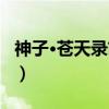 神子·苍天录前传（关于神子·苍天录前传介绍）