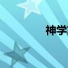 神学家（关于神学家介绍）