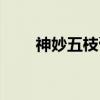 神妙五枝膏（关于神妙五枝膏介绍）
