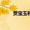 贾宝玉和贾琏什么关系（贾宝玉）