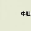 牛肚菌煲汤做法（牛肚菌）