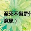 至死不懈是什么意思的意思（至死不懈是什么意思）