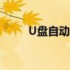 U盘自动播放音乐（u盘自动播放）
