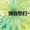 独自愁打一生肖（孤独愁苦打一生肖）