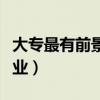 大专最有前景的专业文科（大专最有前景的专业）