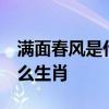 满面春风是什么生肖,财运享通,步步高升是什么生肖