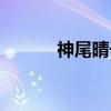 神尾晴子（关于神尾晴子介绍）