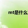 mt是什么意思聚会（mt是什么意思）