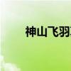 神山飞羽真（关于神山飞羽真介绍）
