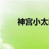 神宫小太郎（关于神宫小太郎介绍）