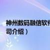 神州数码融信软件有限公司（关于神州数码融信软件有限公司介绍）