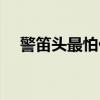 警笛头最怕什么东西（警笛头最怕什么）