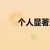 个人显著工作业绩描述（业绩描述）