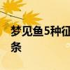 梦见鱼5种征兆要发财梦到自己钓鱼一条接一条
