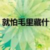 就怕毛里藏什么意思（为什么说最怕毛里藏）