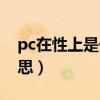 pc在性上是什么意思（pc在性方面是什么意思）