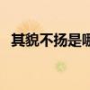 其貌不扬是哪个生肖（其貌不扬打一生肖）