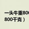 一头牛重800千克一座桥承重700（一头牛重800千克）