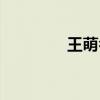王萌名字打多少分（王萌）