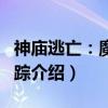 神庙逃亡：魔境仙踪（关于神庙逃亡：魔境仙踪介绍）